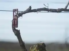 Photo édition 2024 117