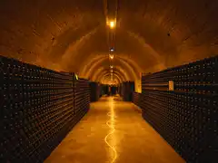 Photo édition 2024 100