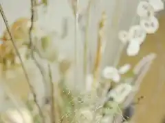 Photo édition 2023 104