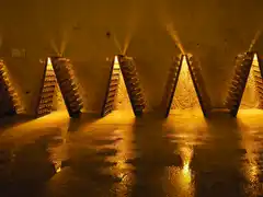 Photo édition 2024 106