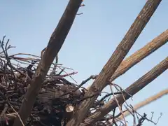 Photo édition 2024 119