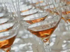 Photo édition 2025 62