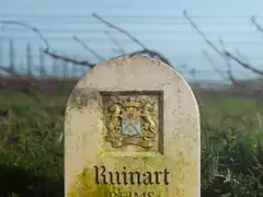 Photo édition 2024 115