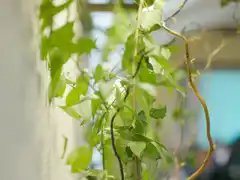 Photo édition 2023 67