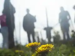 Photo édition 2024 125