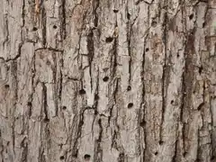 Photo édition 2024 120