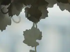 Photo édition 2025 78