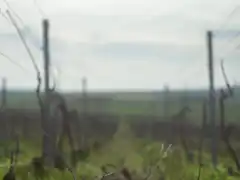 Photo édition 2024 116