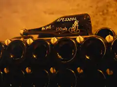 Photo édition 2024 97