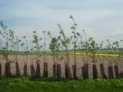 Photo édition 2024 126