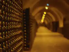 Photo édition 2023 127